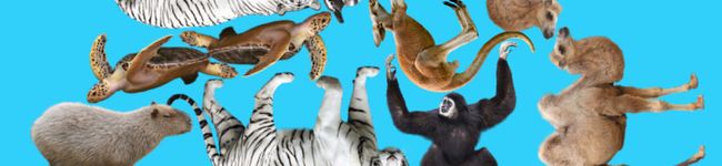 もちもちいとかんてん's header image