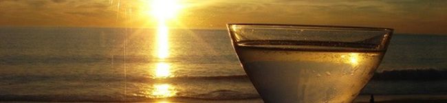 lani_8037's header image