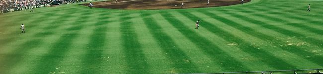 Amika62121's header image
