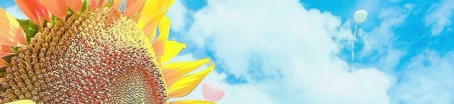 ♡佑香♡'s header image