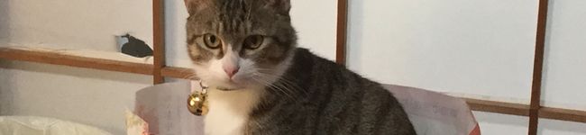 のり・あや's header image