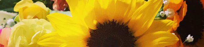なーせー's header image