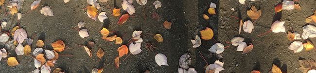 SEHi✭'s header image