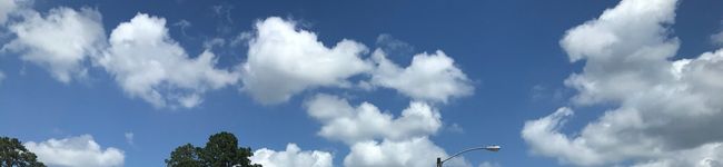 もとさとう's header image