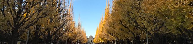 TACPaPa's header image