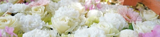 S・S☆ひー☆'s header image