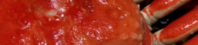 10pound's header image