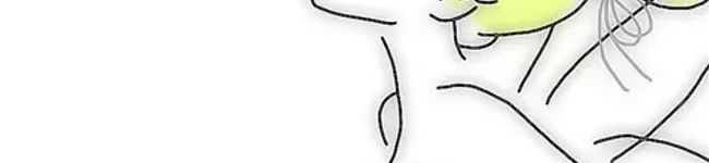 ティンティンカーベル's header image