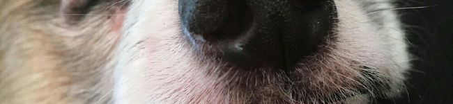 suzuchan☆'s header image