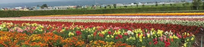 慶おん♪'s header image
