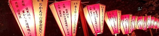 ♡調理師XIA♡'s header image