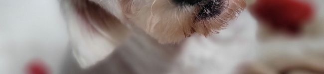 MasyE✩'s header image