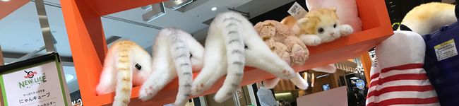 つき☆きょん♡'s header image