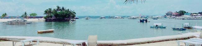 chamomileJ's header image