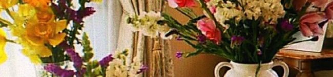 ＬＥＭＯＮ92's header image