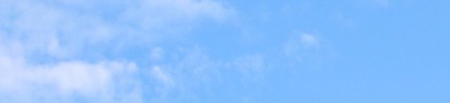 50代の俺でもできる平日1人飯's header image