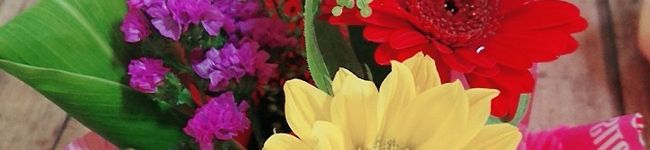 クックSLGJR5☆'s header image