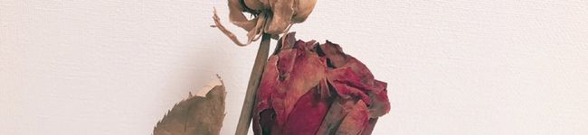 r's header image