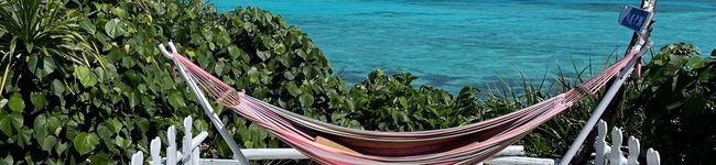 かふかう's header image