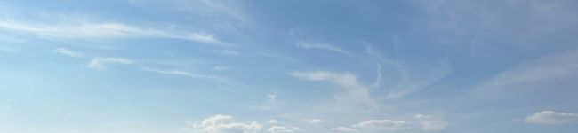 rima0811's header image
