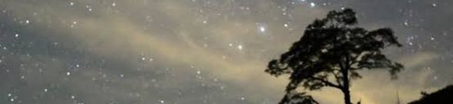 yuk10304's header image