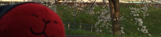 あやまー59's header image