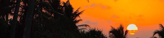 summmmer's header image