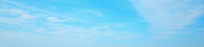 junzy's header image