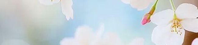 ばありん's header image