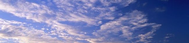 nobnob626's header image