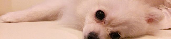 Tummy✨'s header image