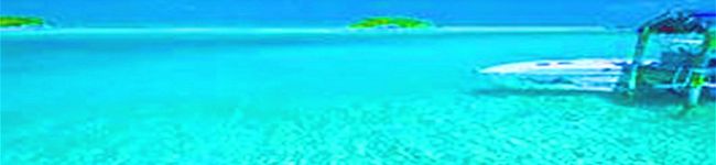 kagawamiho's header image