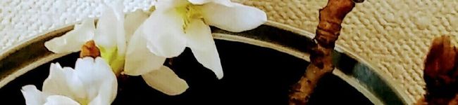 いちの61's header image