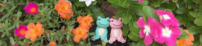 まうすろーぷ's header image