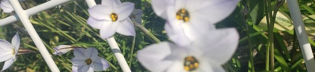 ズボラ大学生's header image