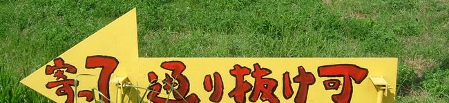 MALIMMO's header image