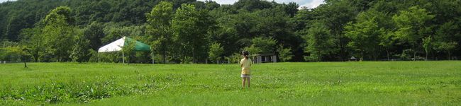 ウメデレラ's header image