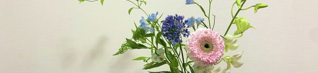 たけいし◎'s header image