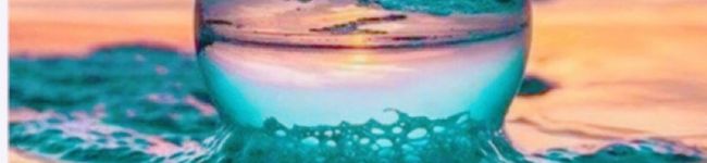 countrylol's header image