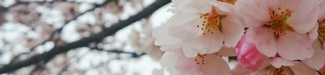 主人は永遠の憧れ❤'s header image
