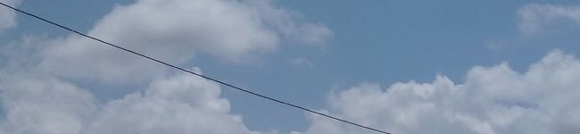 幸seno枝's header image