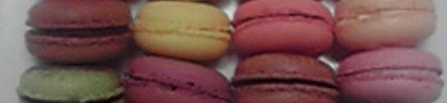 mucca's header image