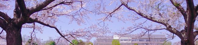 ✿みぃぽむ✿'s header image