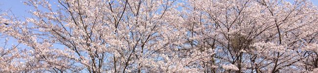 まんまるおやつ's header image