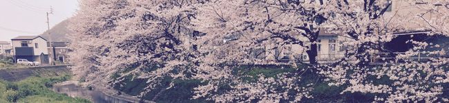 ズボラ飯時々マジメ。's header image