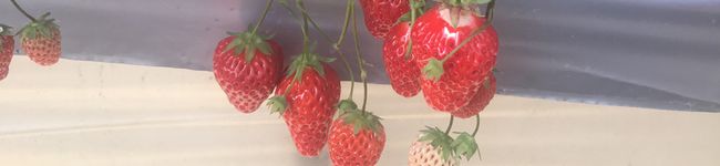 makiko818's header image