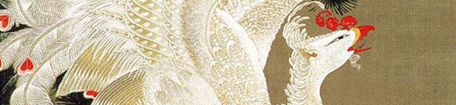 冬の華's header image