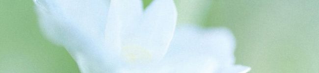 クックマアたん☆'s header image