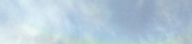 ミニマフィン's header image