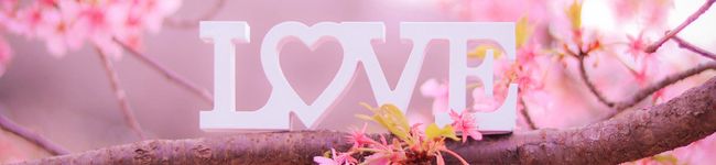 腹ぺこリン's header image